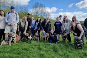 XL Bully walk at Rother Valley Country Park