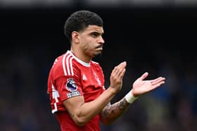 Nottingham Forest midfielder Morgan Gibbs-White