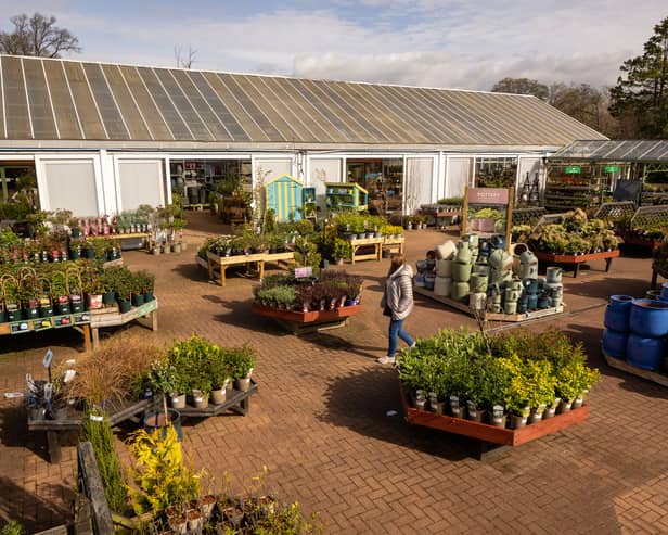 These are the top rated garden centres around South Tyneside.