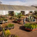 These are the top rated garden centres around South Tyneside.