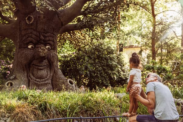 Holland's Efteling, an altogether less expensive family trip out