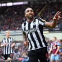Callum Wilson of Newcastle United celebrates scoring his team's first goal during the Premier League match between Burnley FC and Newcastle United at Turf Moor on May 04, 2024 in Burnley, England. (Photo by Gareth Copley/Getty Images)