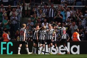Sean Longstaff of Newcastle United celebrates scoring his team's first goal with teammates during the Premier League match between Newcastle United and Brighton & Hove Albion at St. James Park on May 11, 2024 in Newcastle upon Tyne, England. (Photo by George Wood/Getty Images)