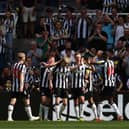Sean Longstaff of Newcastle United celebrates scoring his team's first goal with teammates during the Premier League match between Newcastle United and Brighton & Hove Albion at St. James Park on May 11, 2024 in Newcastle upon Tyne, England. (Photo by George Wood/Getty Images)