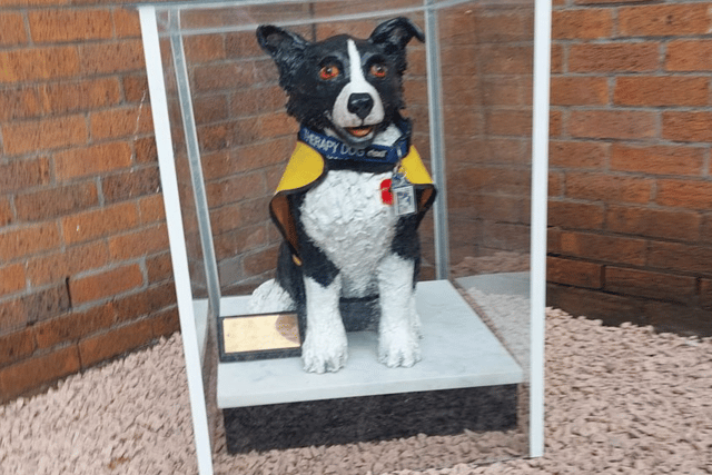 The statue of Tip the Therapy Dog. It has been moved to its new home in the Catherine Cookson Memorial Garden.