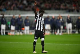 Newcastle United forward Garang Kuol. (Photo by Morgan Hancock/Getty Images)