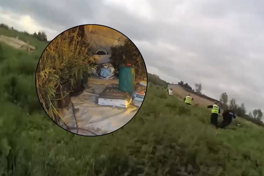 Sting operation: Police chase through field of nettles
