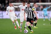 Newcastle United's Alex Murphy controls the ball during the football friendly match between Tottenham Hotspur and Newcastle United at Melbourne Cricket Ground (MCG) in Melbourne on May 22, 2024. (Photo by Martin KEEP / AFP) / -- IMAGE RESTRICTED TO EDITORIAL USE - STRICTLY NO COMMERCIAL USE -- (Photo by MARTIN KEEP/AFP via Getty Images)