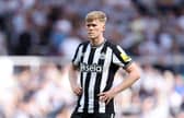 Newcastle United left-back Lewis Hall. (Photo by George Wood/Getty Images)