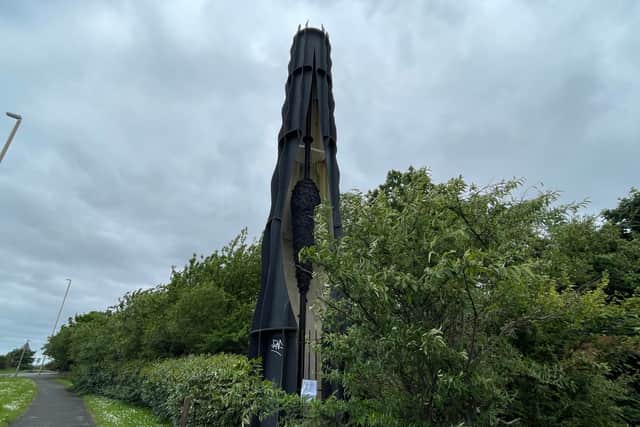 The Swarm was designed to commemorate the transformation of the former Monkton Coke Works into a natural woodland. Photo: National World.