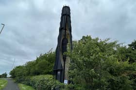 The Swarm was designed to commemorate the transformation of the former Monkton Coke Works into a natural woodland. Photo: National World.