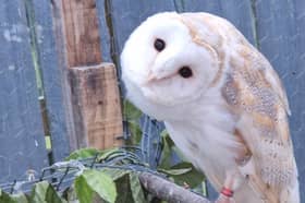 Luna was last seen near St Aloysuis School in Hebburn at 4pm on Sunday.