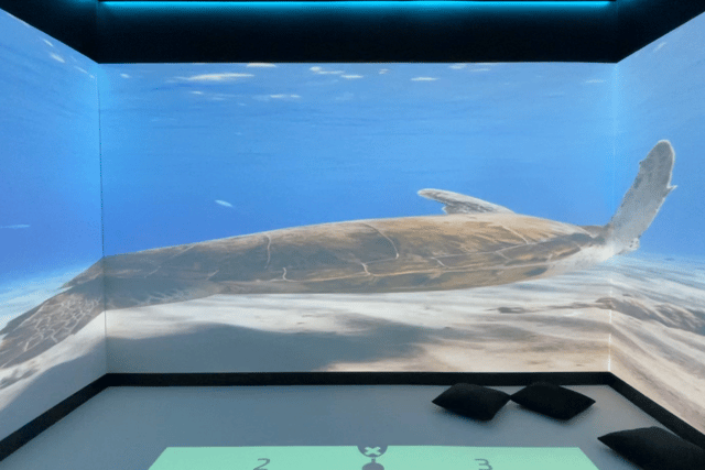 The room can give pupils an immersive experience such as being under the ocean.