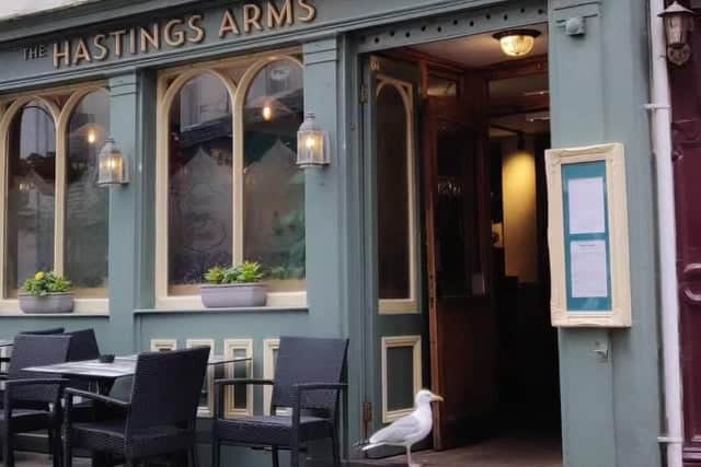 Seagull robs crisps from Hastings shop before nipping into pub.