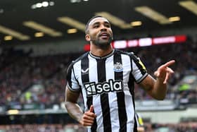 Callum Wilson is likely to miss all of pre-season for Newcastle United. 