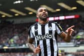 Callum Wilson has been suffering with a back issue in pre-season. 