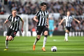 Newcastle United defender Tino Livramento.