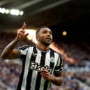 Newcastle United striker Callum Wilson. (Photo by Ian MacNicol/Getty Images)