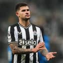 Bruno Guimaraes is set to join up with Newcastle United in Japan. 