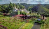 Top TV chef's Rudloe Arms Hotel is offering special deals on country stays