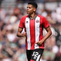 Sheffield United's Will Osula. Osula has been linked with a move to Newcastle United this summer.