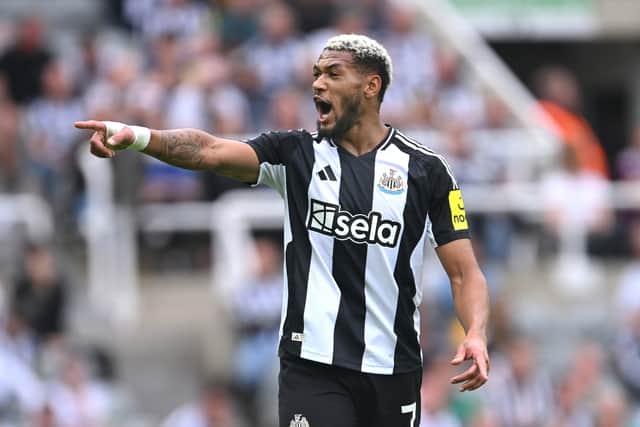 Newcastle United match-winner v Southampton, Joelinton. 