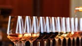 Alcohol: 5 viral wines you need to try according to “winefluencers” on TikTok (Photo: Adobe Stock)