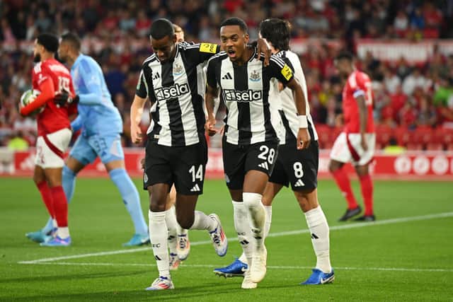 Joe Willock celebrates scoring for Newcastle United. 