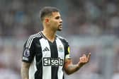 Bruno Guimaraes in action for Newcastle United against Tottenham Hotspur. 