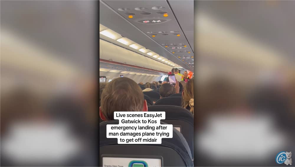 Man taken off plane after ‘trying to storm cockpit at 30,000ft’.
