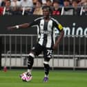 Newcastle United winger Trevan Sanusi