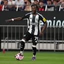 Newcastle United winger Trevan Sanusi