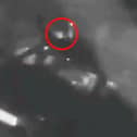 CCTV captures two men creeping up on the parked car 
