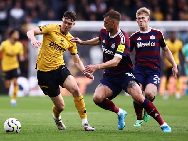 Wolves striker Jorgen Strand Larsen