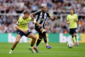 Tyler Dibling is believed to the subject of interest from Newcastle United after a string of impressive displays this season.