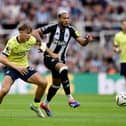 Tyler Dibling is believed to the subject of interest from Newcastle United after a string of impressive displays this season.
