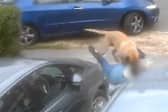A video captured an attack by dog in Dagnam Crescent, Arbourthorne. Picture: South Yorkshire Police