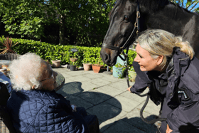 Sadie meeting Patronus the police horse.