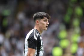 Tino Livramento in action for Newcastle. 