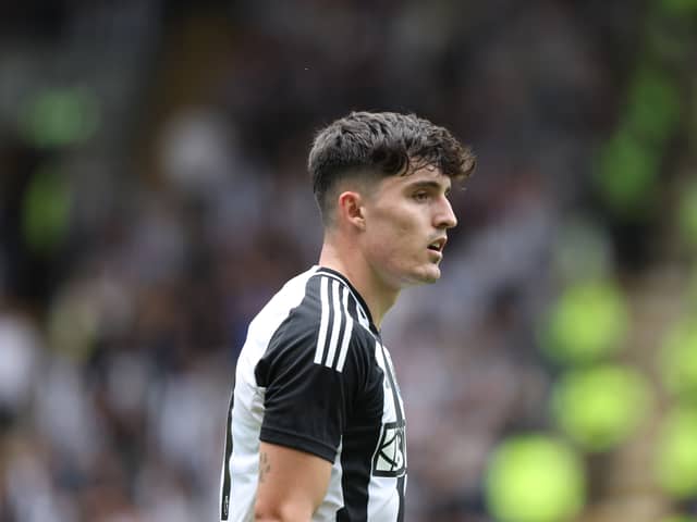Tino Livramento in action for Newcastle. 