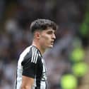 Tino Livramento in action for Newcastle. 