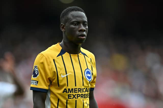 Brighton winger Yankuba Minteh. Minteh left Newcastle United this summer. 
