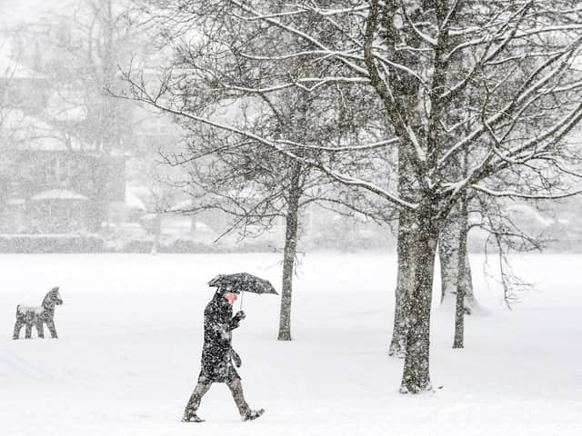 A member of the public walks through the snow in Victoria Park in Glasgow in February 2021 (Photo: ANDY BUCHANAN/AFP via Getty Images)