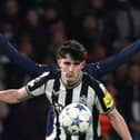 Newcastle United conceded a controversial late penalty against PSG in last season's Champions League.