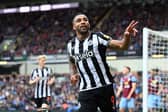 Callum Wilson hasn't featured for Newcastle United this season.