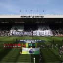 Newcastle United host Brighton at St James' Park in the Premier League on Saturday.