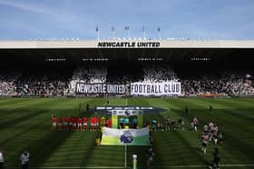 Newcastle United host Brighton at St James' Park in the Premier League on Saturday.