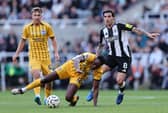 Danny Welbeck of Brighton & Hove Albion goes down against Sandro Tonali of Newcastle United. (Photo by Matt McNulty/Getty Images)
