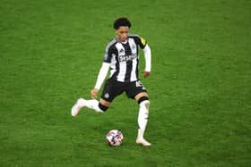 Travis Hernes, Newcastle United midfielder. 