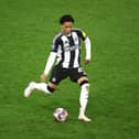 Travis Hernes, Newcastle United midfielder. 